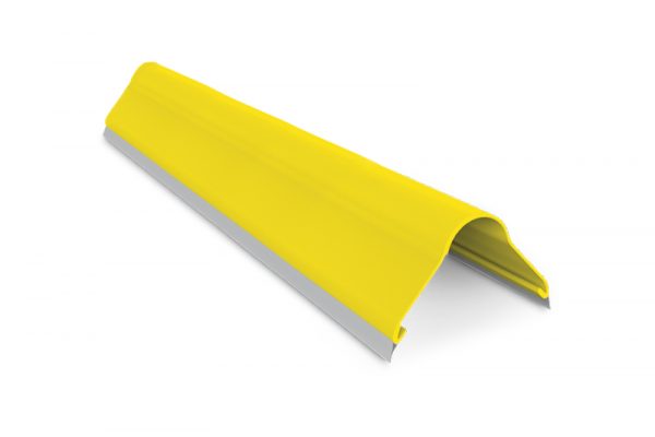 CP 100